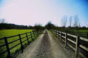 IMG_1215 (1)