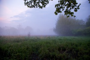 IMG_1940