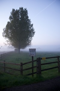 IMG_1967