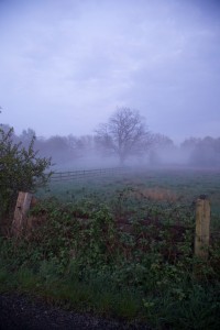 IMG_1984