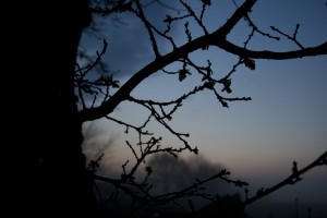 IMG_1988