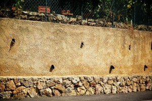 IMG_9116